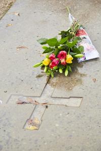 13 Flowers on Royal gravestones in Hyde Abbey Garden